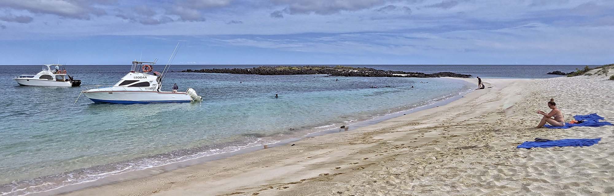 Beach Scene