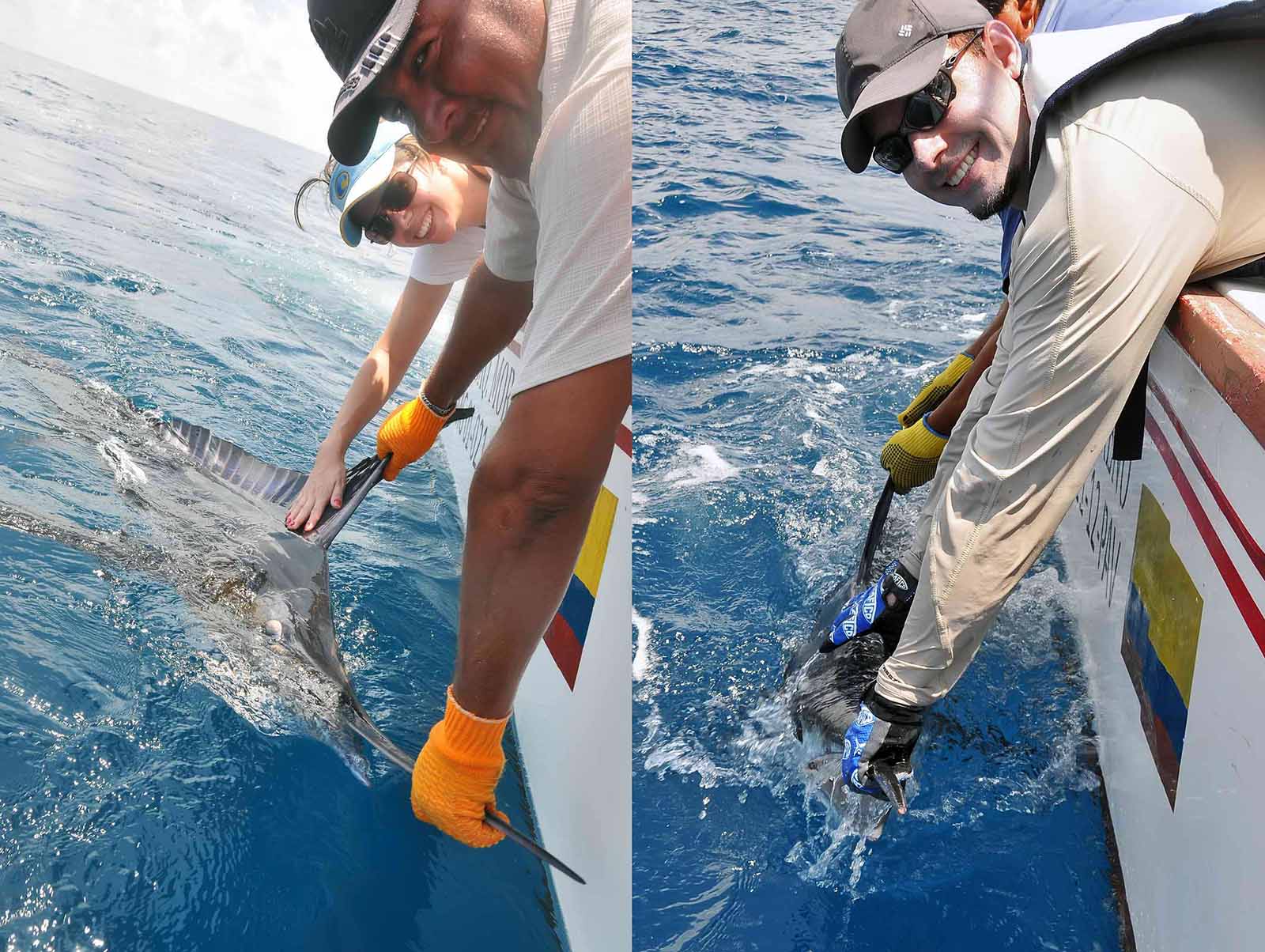 Marlin Release